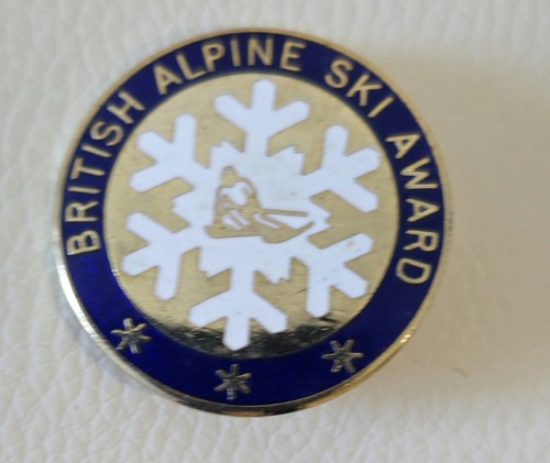 Assorted Enamel Pin Badges Ski Club Sport