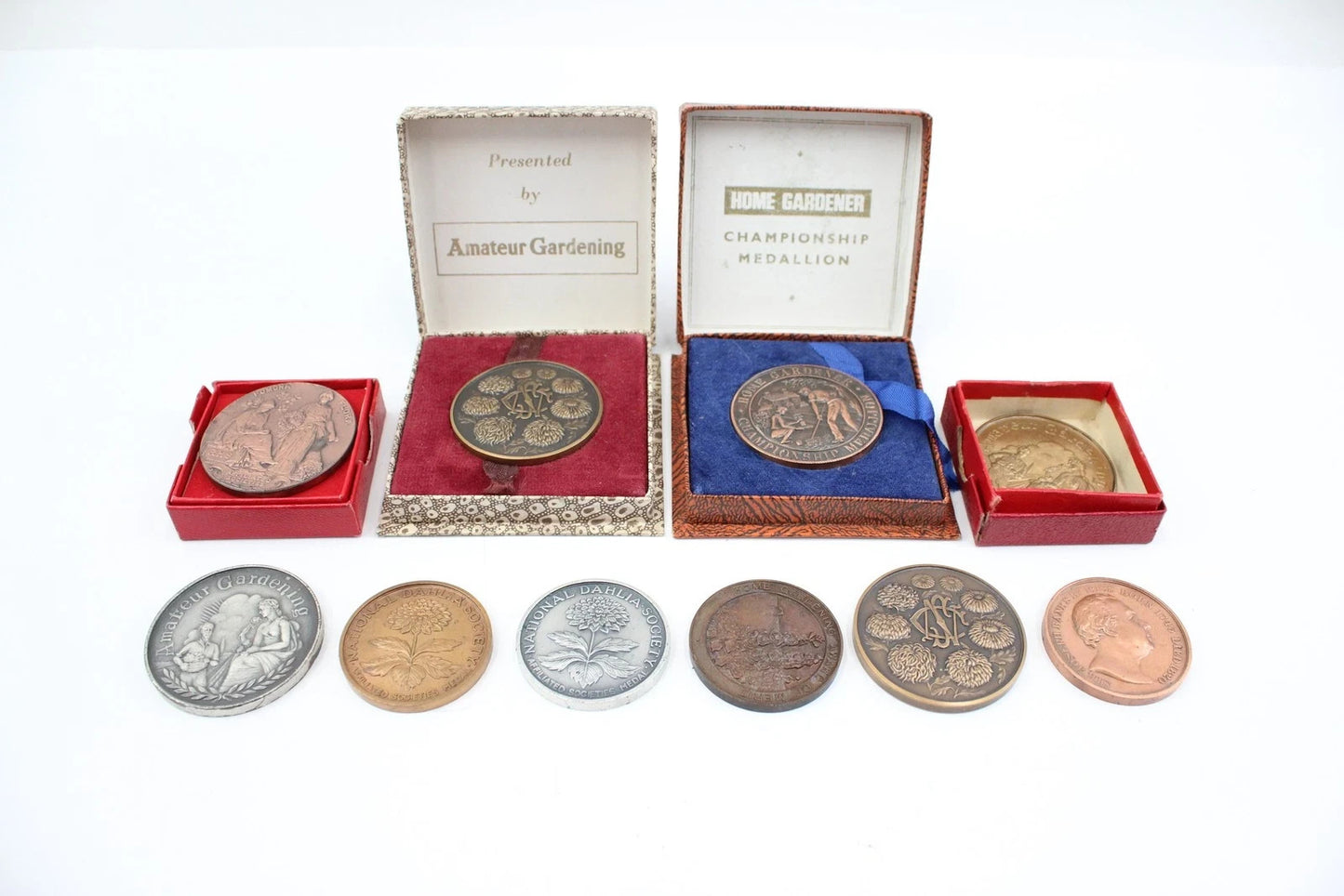 Gardening Horticulture Medals / Medallions Inc National Dahlia Society Etc x 10