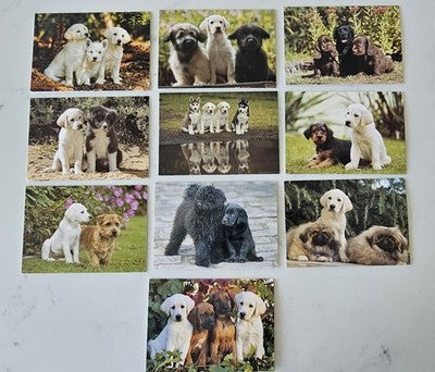 Lot of 10 Vintage Puppy Postcards - Labrador & Mixed Breeds Collection