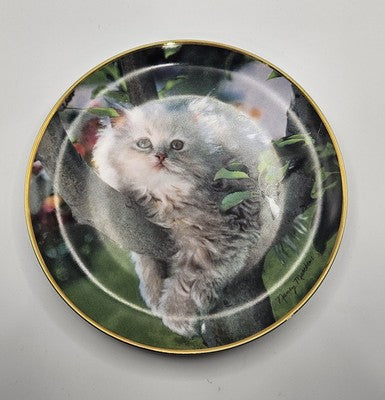 Franklin Mint "Purrfection!" Collector's Plate by Nancy Matthews20.5cm