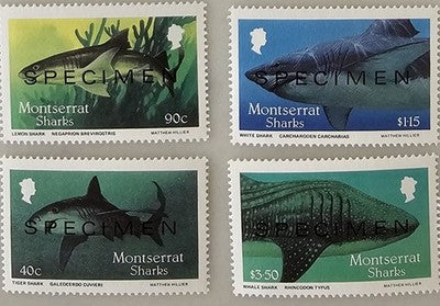 Montserrat Sharks Stamp Set - SPECIMEN Overprint - Full Set of 4 MNH Vintage
